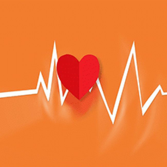Holter ECG