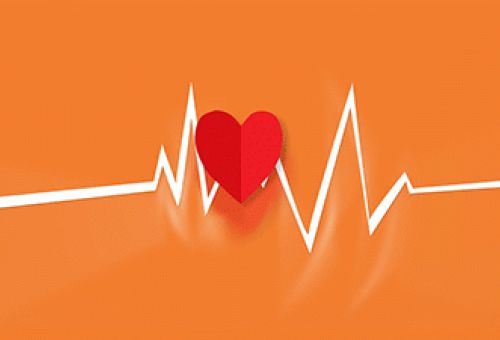 Holter ECG
