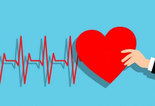 Problemas cardiovasculares y sedentarismo