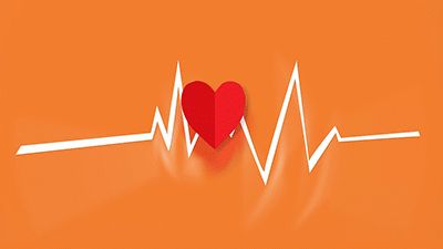 Holter ECG